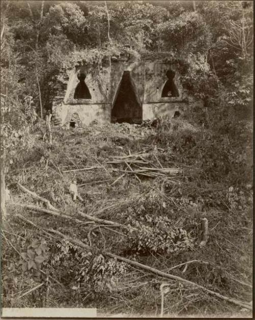 Temple of the Foliated Cross