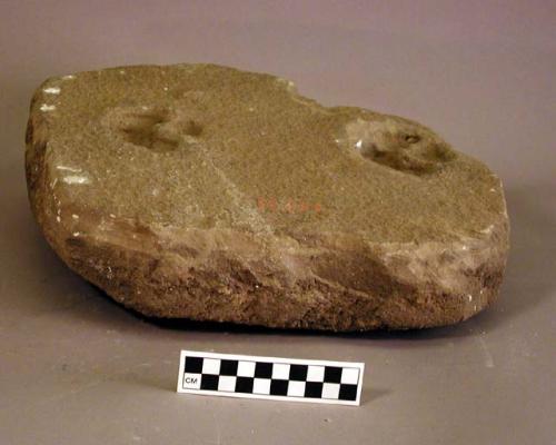 Sandstone with marks of animal feet