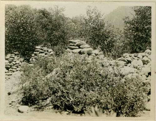 Stones piled up at Red Gap as a result of numerous acorn feasts