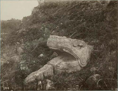 Serpents Head at base of ruins