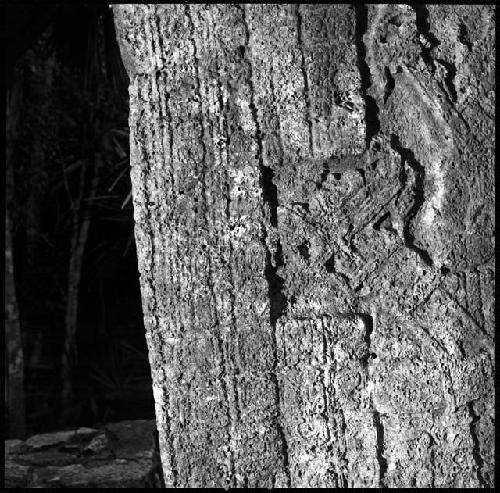 Stela 1 at Coba