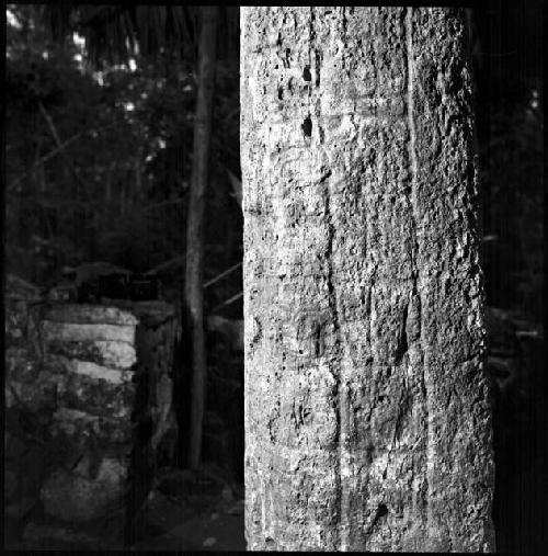 Stela 1 at Coba