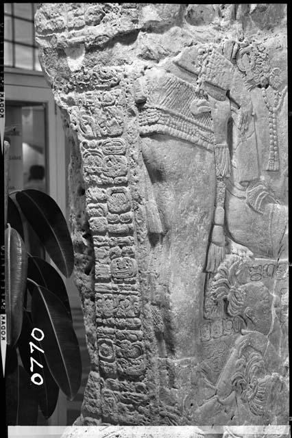 Left oblique view of stela 12 from Piedras Negras