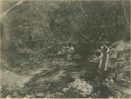 Work at Sacred Cenote