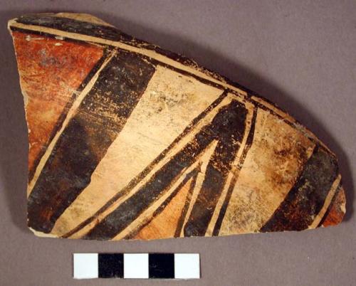 Selected potsherd--looks like part of a polychrome jar from some other room