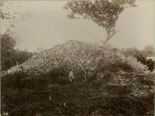 Mound 6 before excavation, looking west