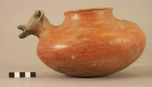 Jar, red ware.  Animal shape.