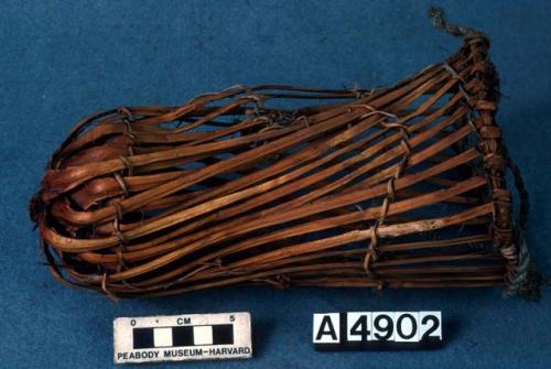 Basket of single yucca plant