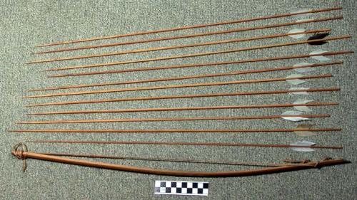 Small bow and reed arrows