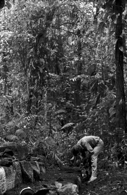 Work on Structure 5 steps as Yaxchilan