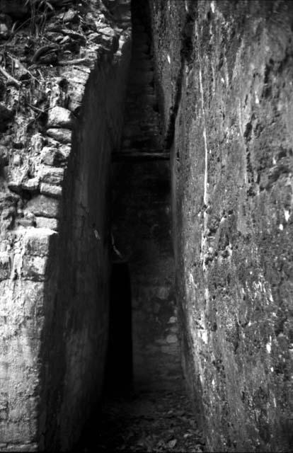 Interior of temple at Holmul