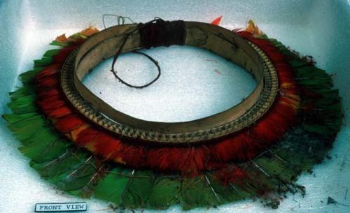 Crown of green parrot feathers, red and yellow feathers of wakamaiyu +