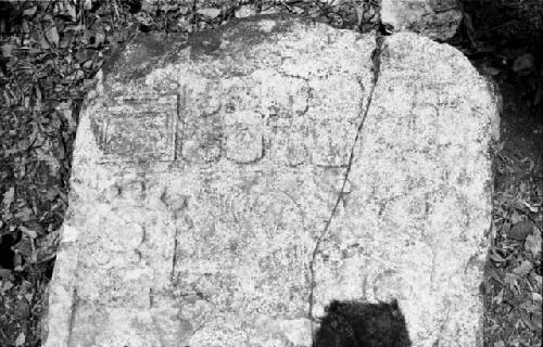 Detail of Stela 13 at Seibal