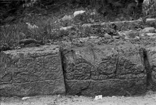 Step from Hieroglyphic Stairway 5 of Structure 20 at Yaxchilan