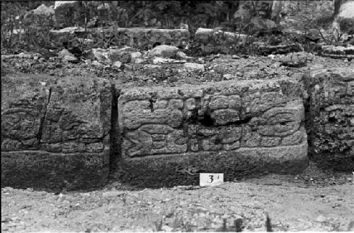 Step from Hieroglyphic Stairway 5 of Structure 20 at Yaxchilan