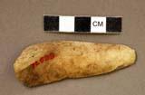 Worked bone fragment