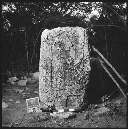 Stela 5 at Coba