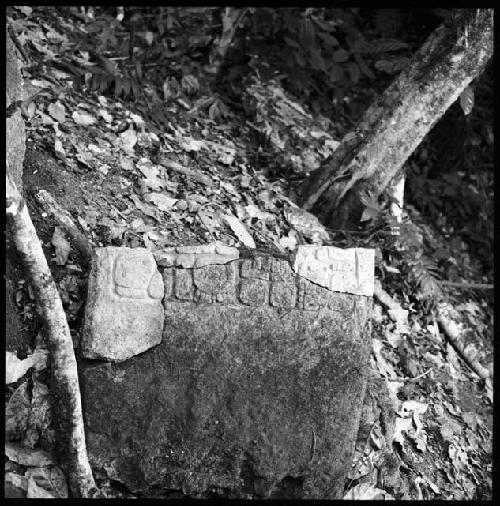 Lower piece of Stela 2 at Ixkun