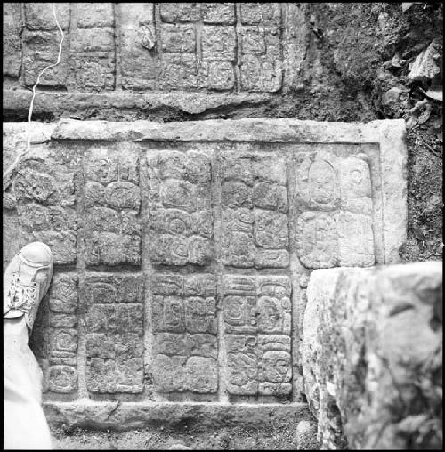 Upper step of Hieroglyphic Stairway 3 of Structure 44 at Yaxchilan