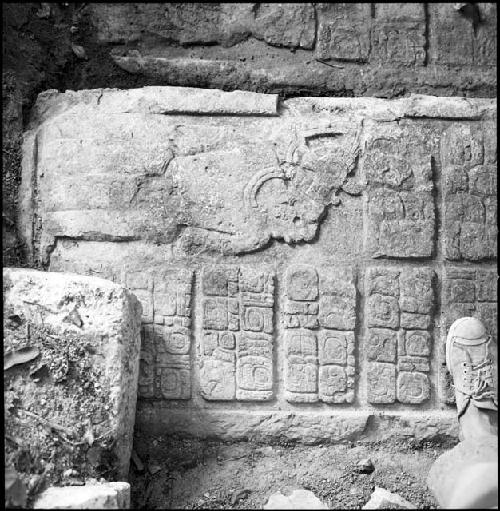 Upper step of Hieroglyphic Stairway 3 of Structure 44 at Yaxchilan