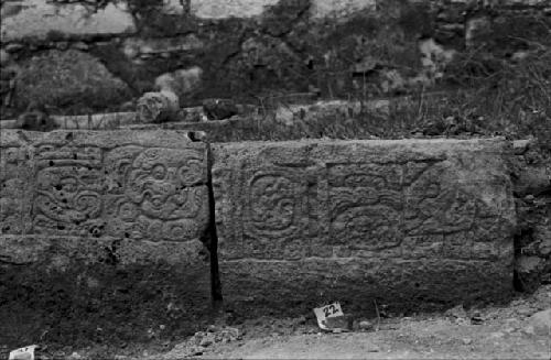 Step from Hieroglyphic Stairway 5 of Structure 20 at Yaxchilan