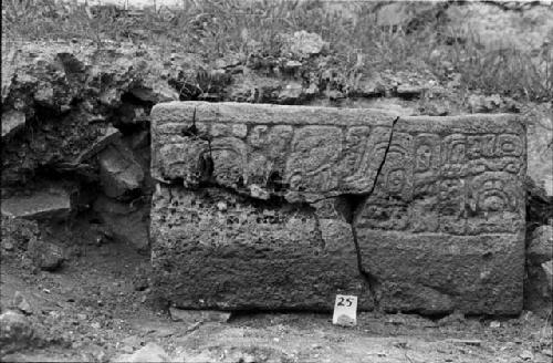 Step from Hieroglyphic Stairway 5 of Structure 20 at Yaxchilan