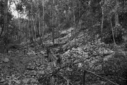 Line of trenches in front of main temple at Rio Azul