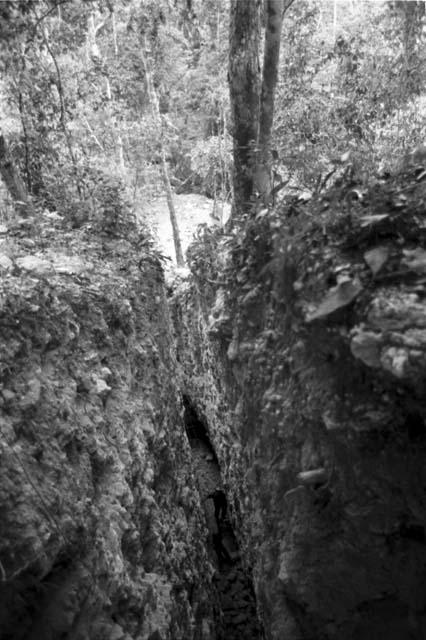 Trench 37 from above at Rio Azul