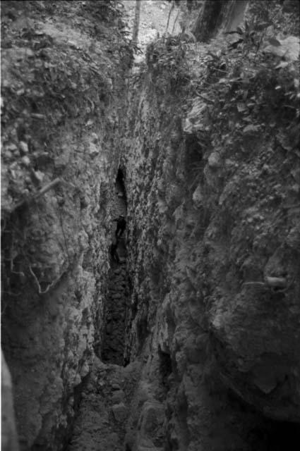 Trench 37 from above at Rio Azul