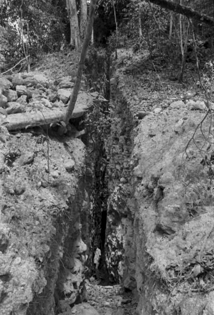 Trench 37 from above at Rio Azul