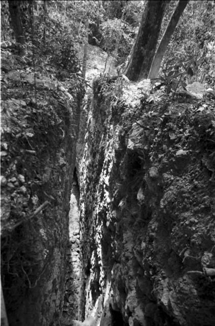 Trench 37 from above at Rio Azul