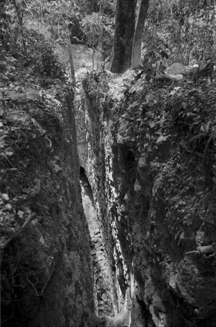 Trench 37 from above at Rio Azul