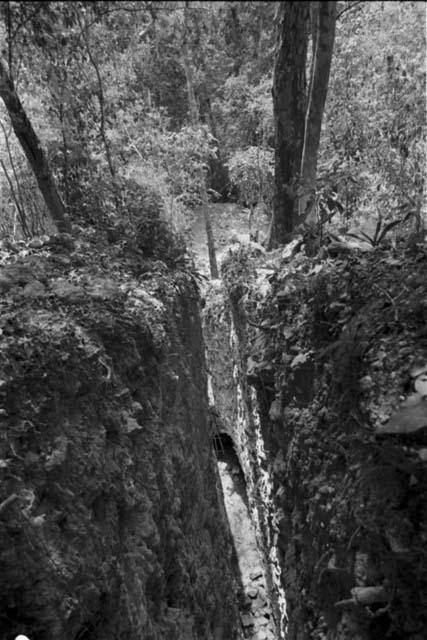 Trench 37 from above at Rio Azul