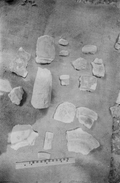 Fragments of Stela 2 at Rio Azul