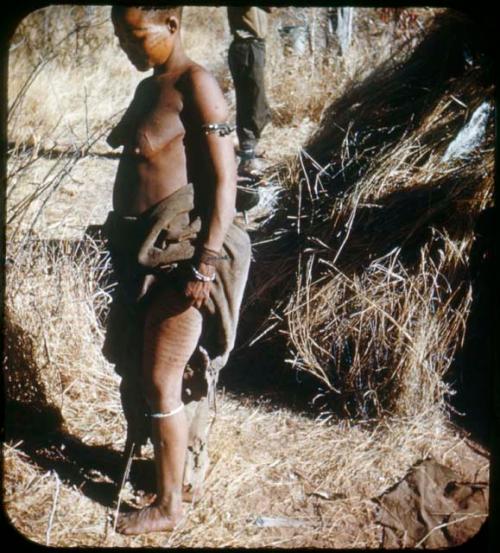 Slide from Marshall Expedition: "Female body decoration, Bushmen"