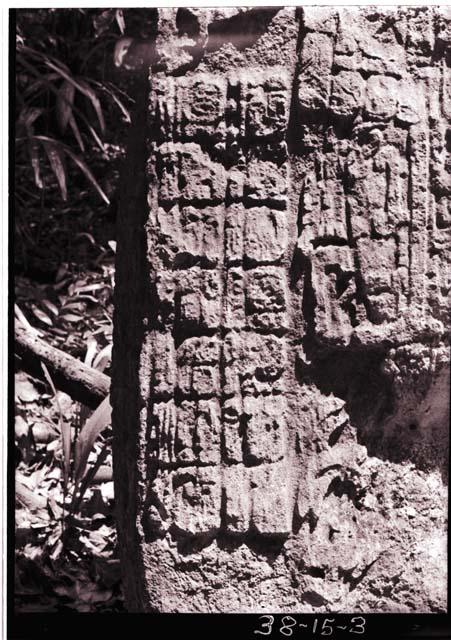 Stela 7. Close up of glyph panel on front.