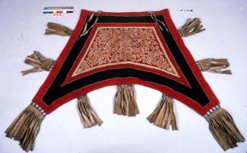 Ornamented cloth for back of horse