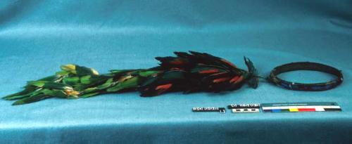 Crown - parrot feathers and wood