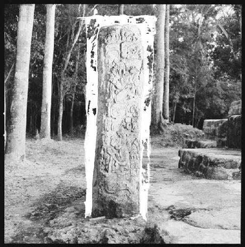 Stela 20 at Uaxactun