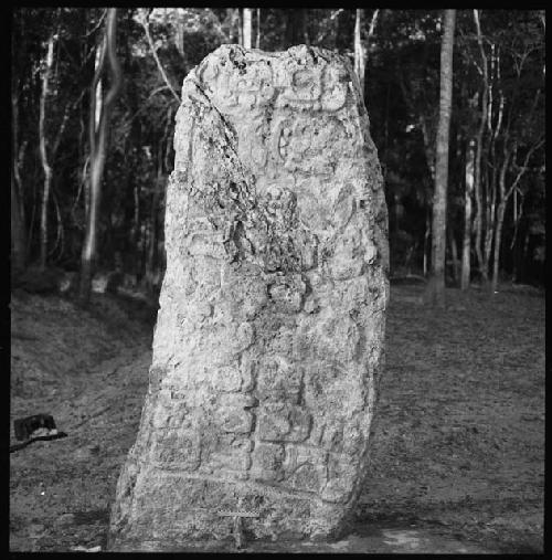 Stela 20 at Uaxactun