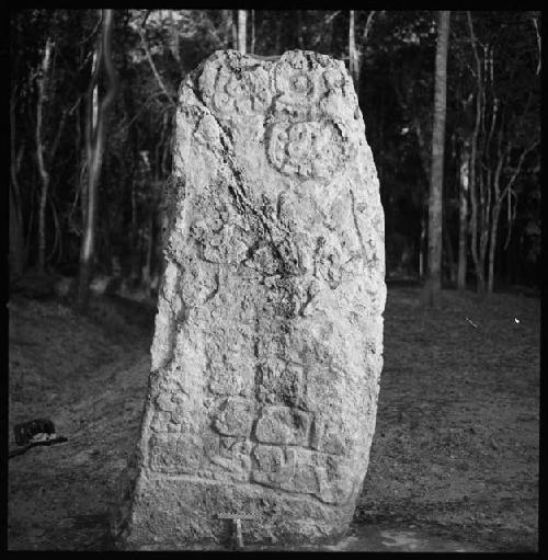 Stela 20 at Uaxactun