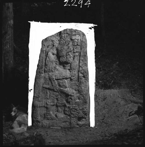 Stela 5 at Uaxactun