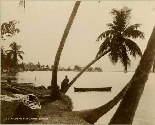 Man seated on a palm tree in coastal village