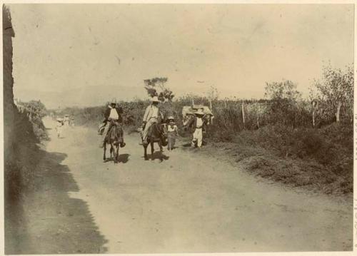 People travelling down road on burros and on foot