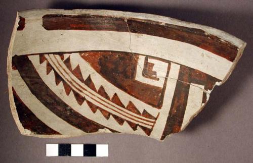 Fragment of black on white pottery bowl - restored. paint has a definite reddis