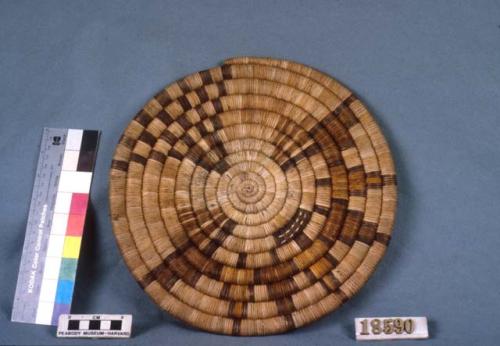 Basketry plaque