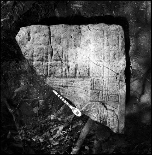 Stela 8 at Piedras Negras