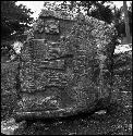 Stela 31 at Naranjo