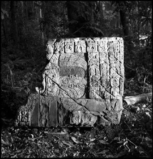 Stela 1 at Piedras Negras