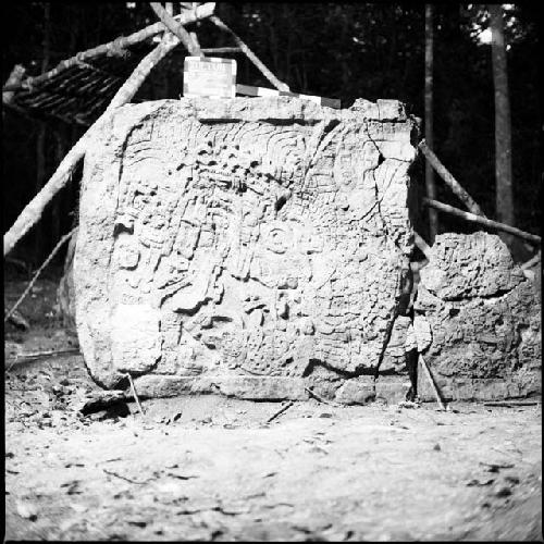 Stela 24 at Xultun